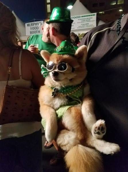 Прикольные картинки дня (30 шт) Прикольные картинки дня (30 шт)