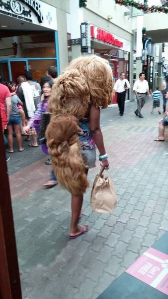 Что здесь происходит?! (28 фото) Что здесь происходит?! (28 фото)