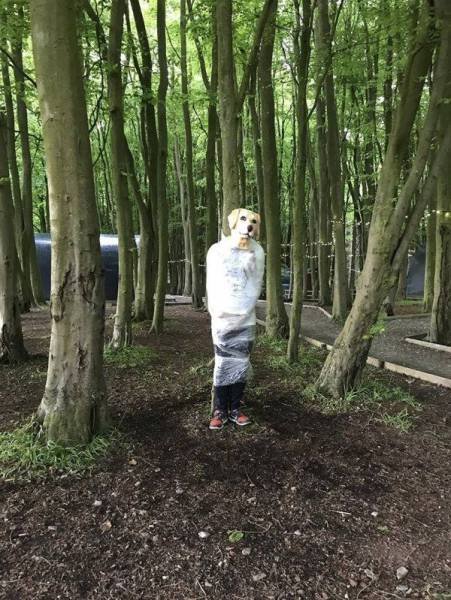 Что здесь происходит?! (28 фото) Что здесь происходит?! (28 фото)