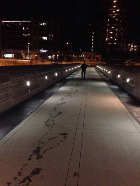 Что здесь происходит?! (28 фото) Что здесь происходит?! (28 фото)