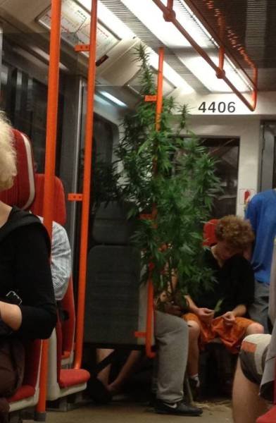 Что здесь происходит?! (28 фото) Что здесь происходит?! (28 фото)