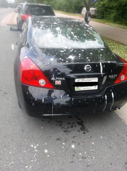 Неудачный день в картинках (32 шт) Неудачный день в картинках (32 шт)