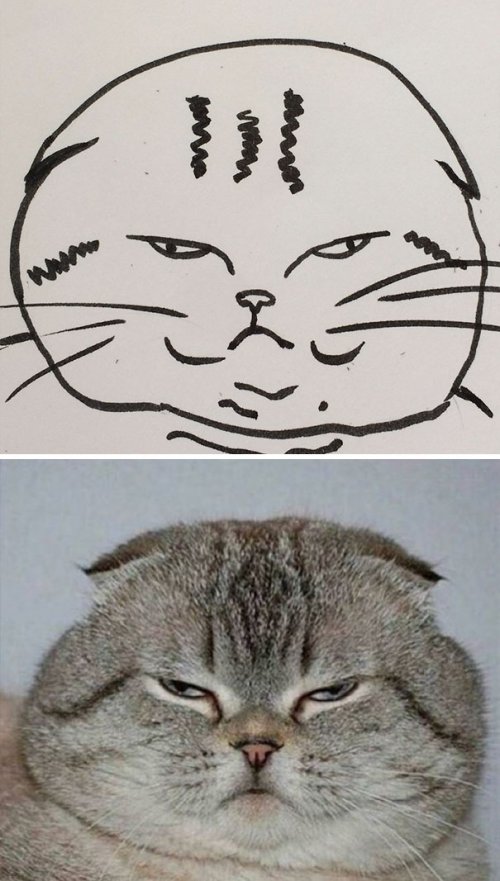 Плохо нарисованные кошки, которые очень похожи на настоящих (25 фото)