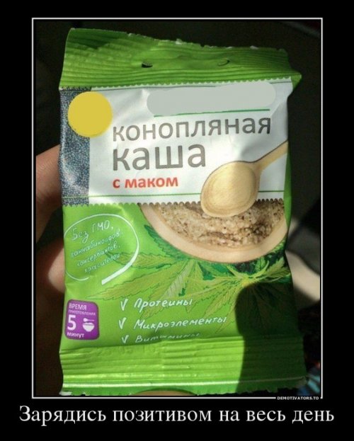 Прикольные демотиваторы на любой вкус (13 фото)