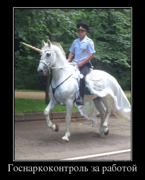 Новые демотиваторы на любой вкус (16 шт)