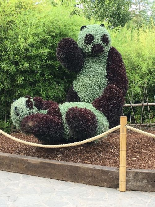 Прикольные картинки для всех и каждого (46 шт) Прикольные картинки для всех и каждого (46 шт)