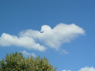 Облачная парейдолия (19 фото) Облачная парейдолия (19 фото)