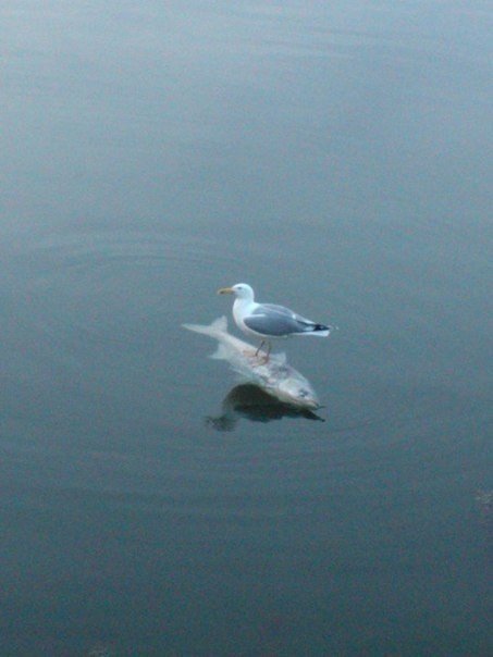 Что здесь происходит?! (16 фото) Что здесь происходит?! (16 фото)