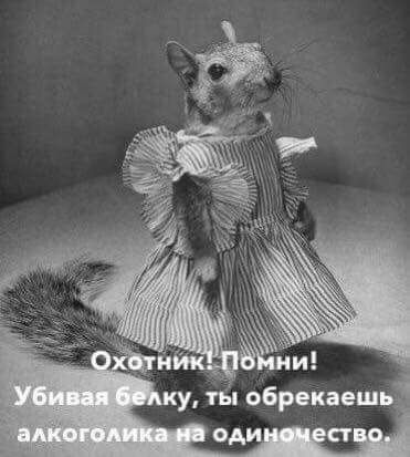 Фото-приколы с утра пораньше (42 шт) Фото-приколы с утра пораньше (42 шт)