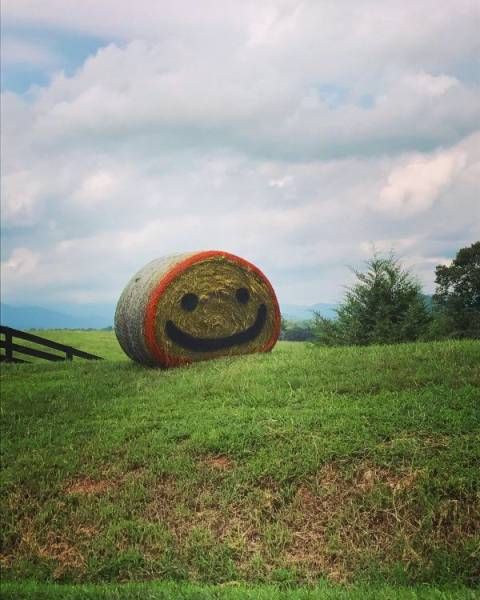 Фото-приколы с утра пораньше (42 шт) Фото-приколы с утра пораньше (42 шт)