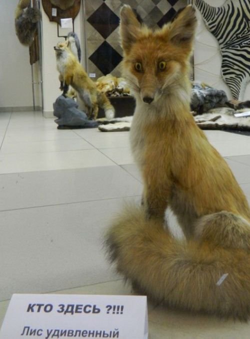 Где-то в России (27 фото) Где-то в России (27 фото)