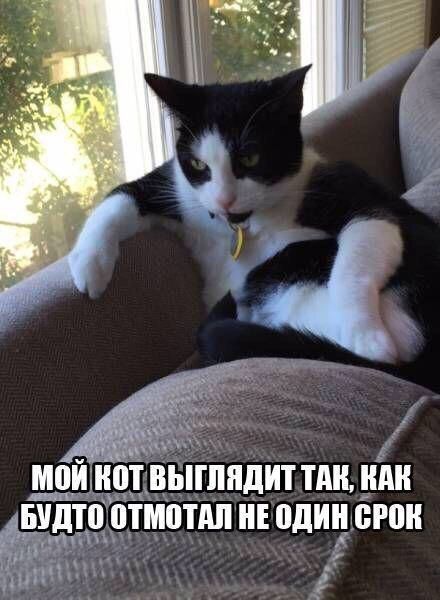 Забавные картинки и фото-приколы дня (28 шт) Забавные картинки и фото-приколы дня (28 шт)