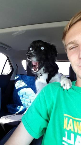 Смешные животные, которых нужно "перезагрузить" (27 фото) Смешные животные, которых нужно "перезагрузить" (27 фото)