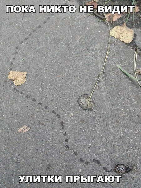 Прикольные фотомемы на Бугаге (29 шт) Прикольные фотомемы на Бугаге (29 шт)