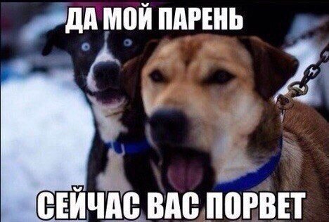 Прикольные фотомемы на Бугаге (29 шт) Прикольные фотомемы на Бугаге (29 шт)