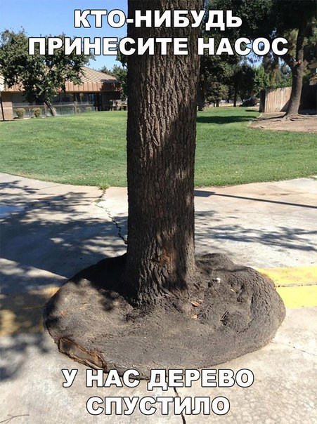 Прикольные фотомемы на Бугаге (29 шт) Прикольные фотомемы на Бугаге (29 шт)