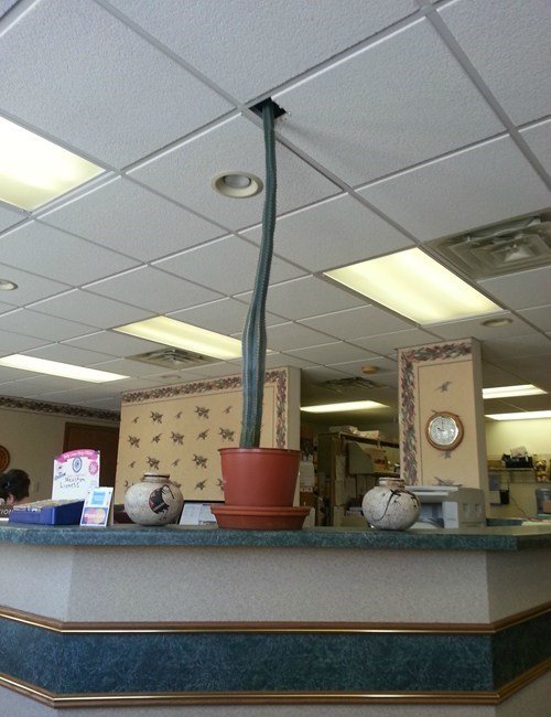 Все проблемы решаемы! (31 фото) Все проблемы решаемы! (31 фото)