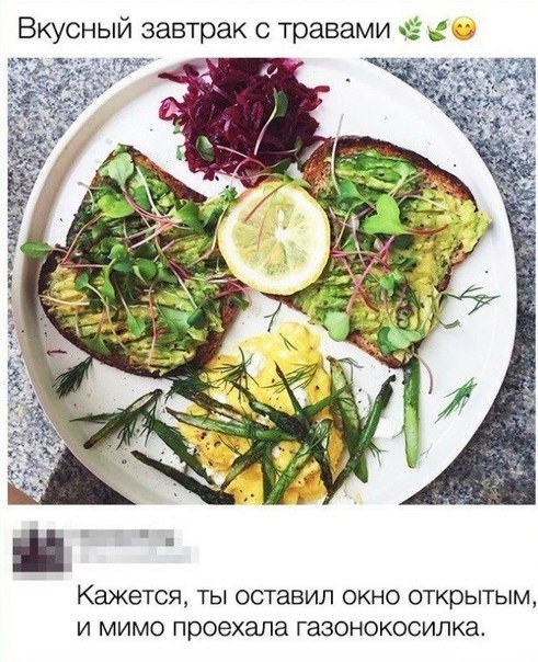 Прикольные комментарии и СМС-диалоги (25 фото) Прикольные комментарии и СМС-диалоги (25 фото)