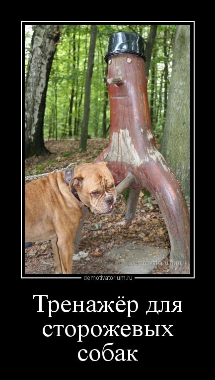 Свежие демотиваторы на Бугаге (16 шт) Свежие демотиваторы на Бугаге (16 шт)