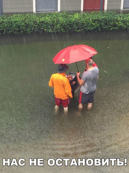 Прикольные фотомемы для хорошего настроения (22 шт) Прикольные фотомемы для хорошего настроения (22 шт)