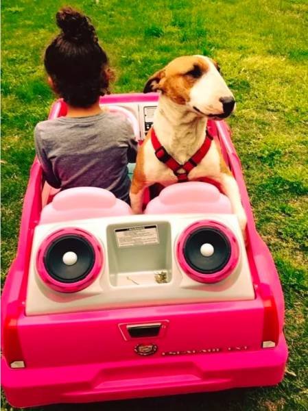 Дети — цветы жизни (15 фото) Дети — цветы жизни (15 фото)