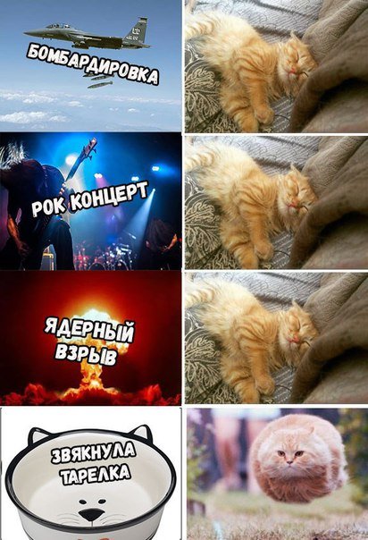 Прикольные фотомемы (23 шт) Прикольные фотомемы (23 шт)
