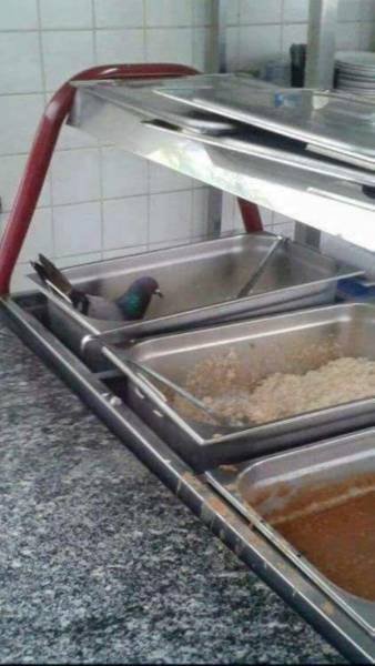 Странности в фотографиях (28 фото) Странности в фотографиях (28 фото)