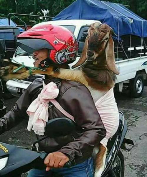 Странности в фотографиях (28 фото) Странности в фотографиях (28 фото)