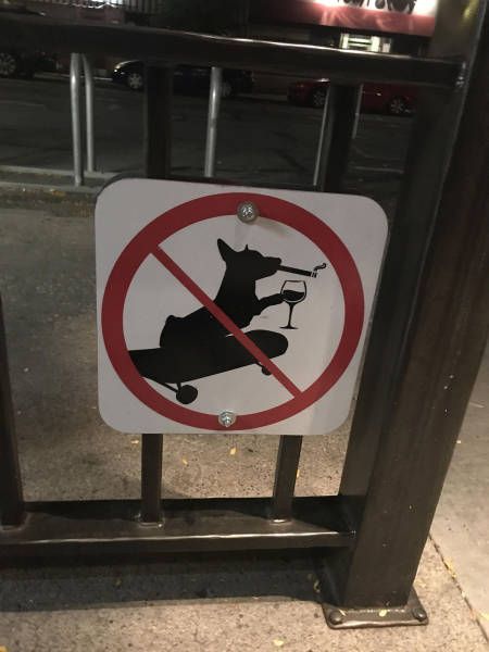 Прикольные картинки и мемасы (51 шт) Прикольные картинки и мемасы (51 шт)