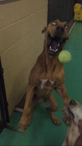 Прикольные стоп-кадры (27 шт) Прикольные стоп-кадры (27 шт)