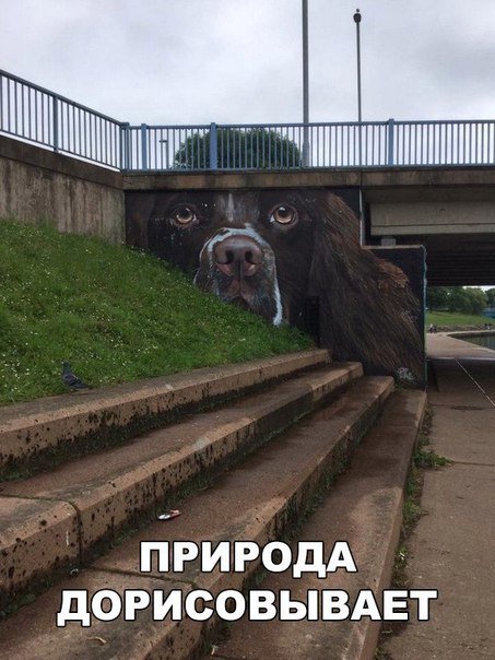 Свежая порция фотомемов (24 шт) Свежая порция фотомемов (24 шт)