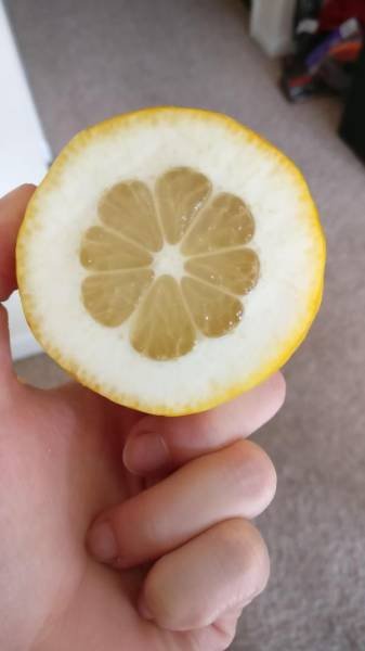 Неудачный день в картинках (28 фото) Неудачный день в картинках (28 фото)