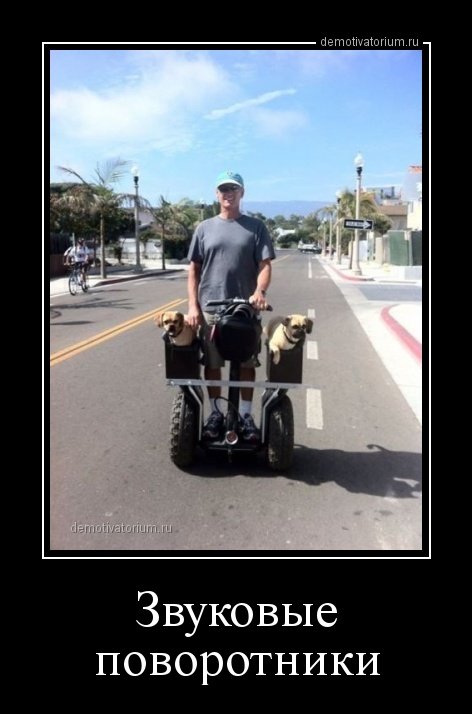 Свежая порция демотиваторов (16 шт) Свежая порция демотиваторов (16 шт)