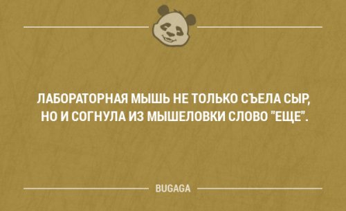Смешные фразы и мысли в картинках с надписями. Часть 55 (18 шт)