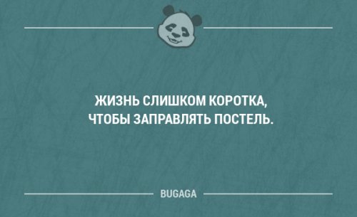 Смешные фразы и мысли в картинках с надписями. Часть 55 (18 шт)