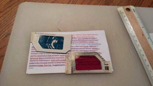 Захочешь сдать экзамен — ещё не то придумаешь! (23 фото)
