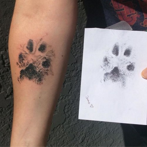 Тату отпечатков лап собак как символ любви и крепкой связи (29 фото)