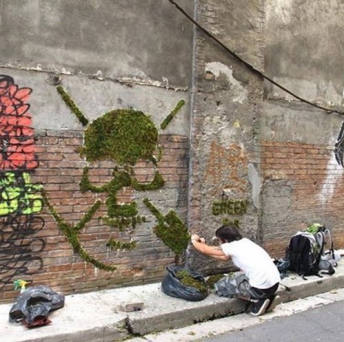 Мосс-граффити: "зелёный" стрит-арт (27 фото)