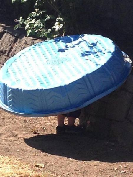 Малыши, с которыми в прятки лучше не играть — иначе проиграете (21 фото) Малыши, с которыми в прятки лучше не играть — иначе проиграете (21 фото)