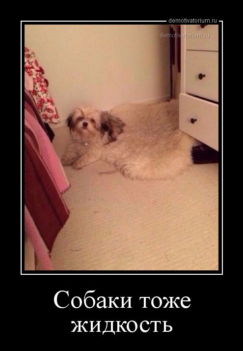 Новые демотиваторы для настроения (18 шт) Новые демотиваторы для настроения (18 шт)