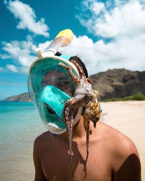 Неудачный день в картинках (25 фото) Неудачный день в картинках (25 фото)