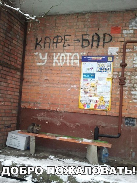 Прикольные фотомемы, которые вызовут улыбку (26 шт) Прикольные фотомемы, которые вызовут улыбку (26 шт)