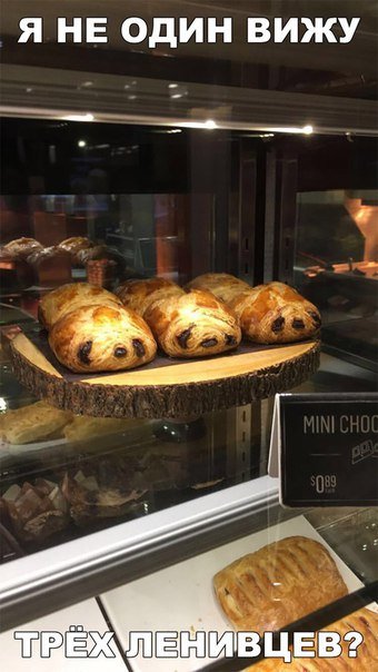 Прикольные фотомемы, которые вызовут улыбку (26 шт) Прикольные фотомемы, которые вызовут улыбку (26 шт)