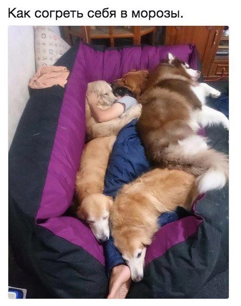 Прикольные фотомемы, которые вызовут улыбку (26 шт) Прикольные фотомемы, которые вызовут улыбку (26 шт)