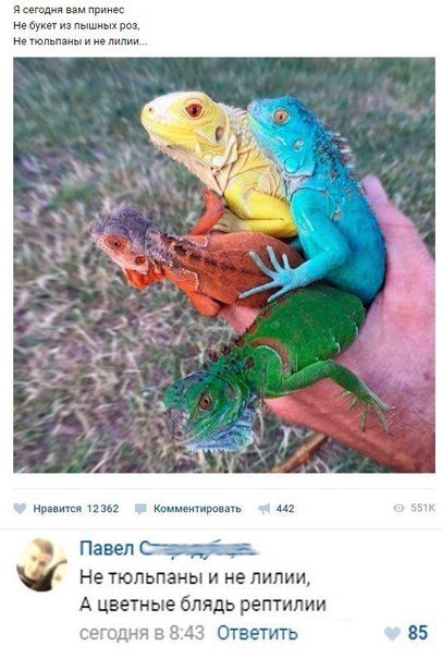 Прикольные комментарии из социальных сетей (20 фото) Прикольные комментарии из социальных сетей (20 фото)