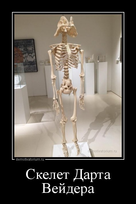 Свежие демотиваторы-приколы (19 шт) Свежие демотиваторы-приколы (19 шт)