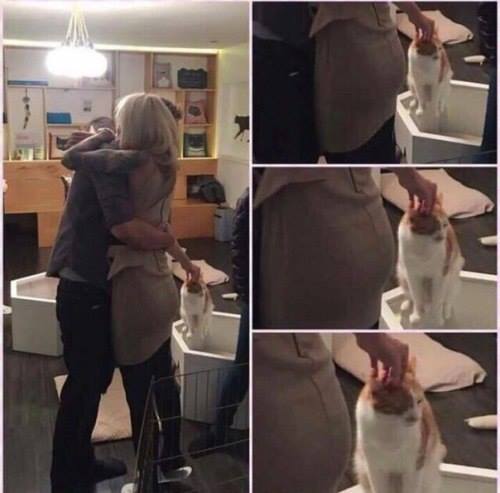 Прикольные мемасы, картинки и фотки (53 шт) Прикольные мемасы, картинки и фотки (53 шт)