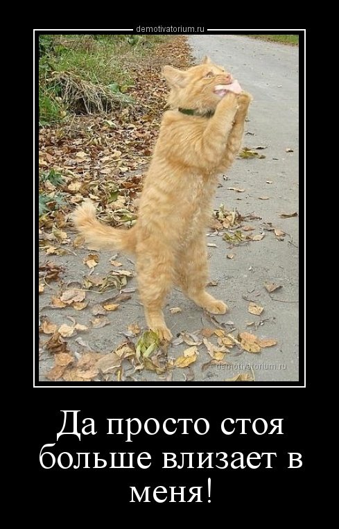 Порция демотиваторов в конце рабочей недели (18 шт) Порция демотиваторов в конце рабочей недели (18 шт)