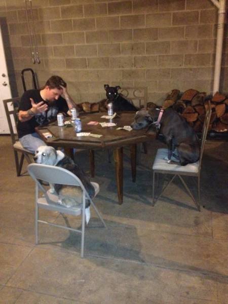 Одинокие сердца (27 фото) Одинокие сердца (27 фото)