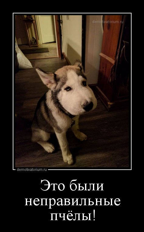 Свежие демотиваторы-приколы на Бугаге (17 шт) Свежие демотиваторы-приколы на Бугаге (17 шт)